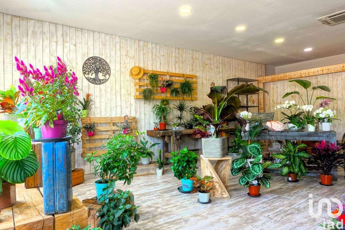 Photo 4 - Commerce à LE CANNET-DES-MAURES