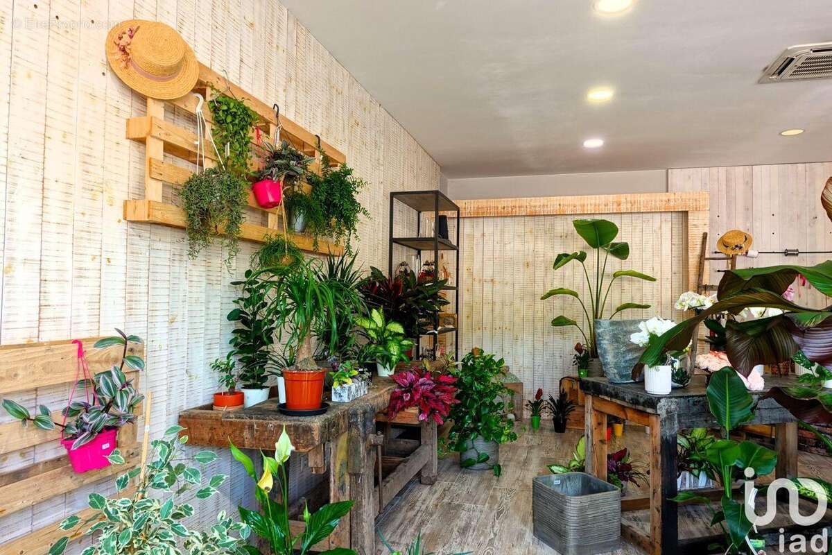 Photo 5 - Commerce à LE CANNET-DES-MAURES