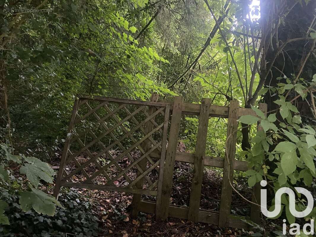 Photo 2 - Terrain à ALGRANGE