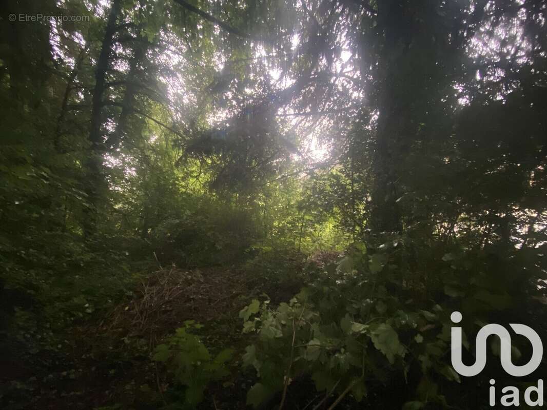 Photo 5 - Terrain à ALGRANGE