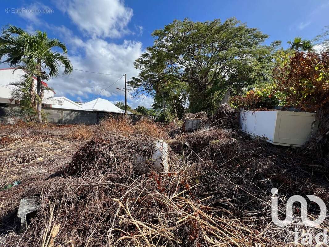 Photo 2 - Terrain à BASSE-TERRE
