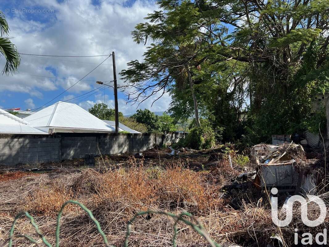 Photo 4 - Terrain à BASSE-TERRE