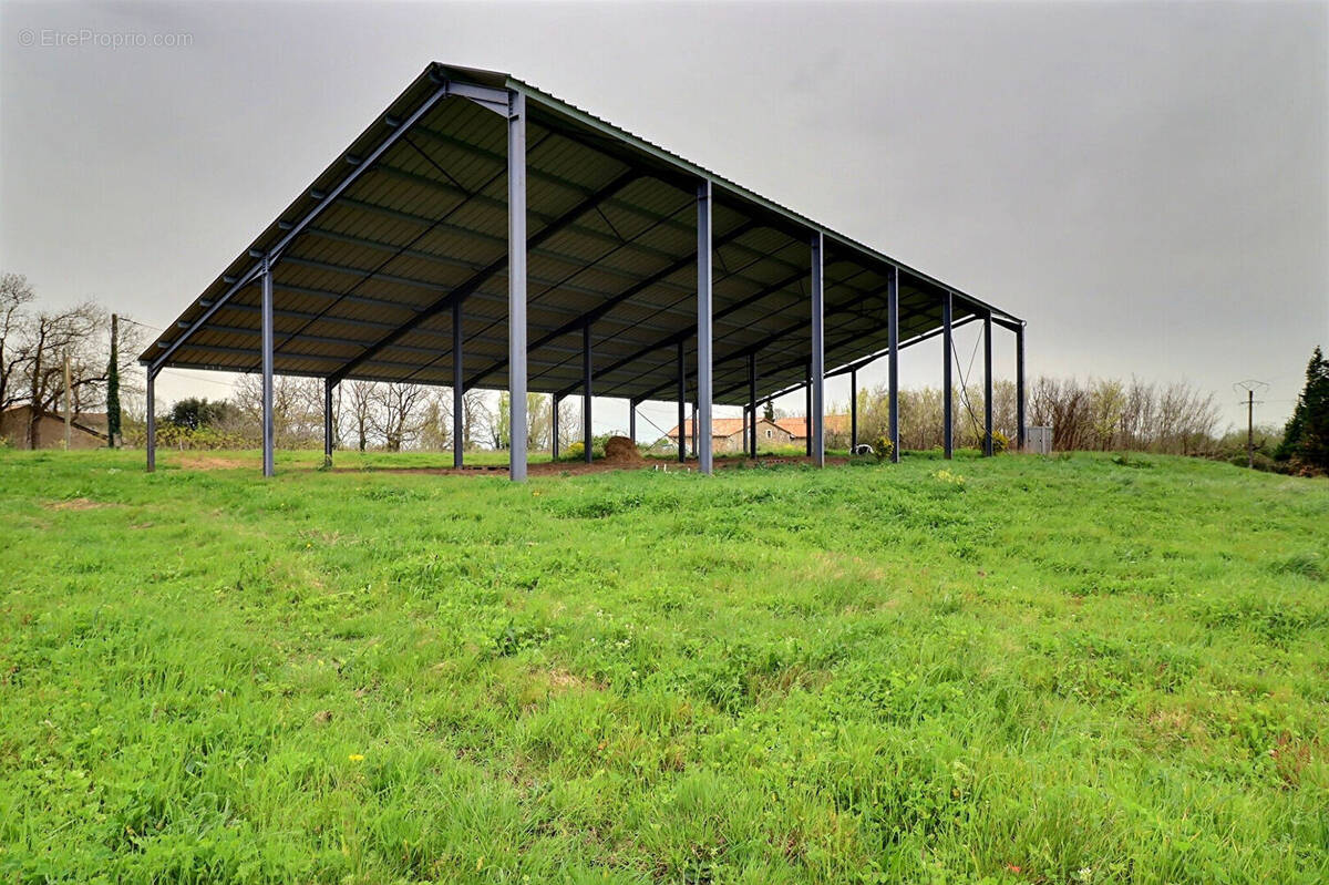 Terrain à SAINT-MARTIN-DE-RIBERAC