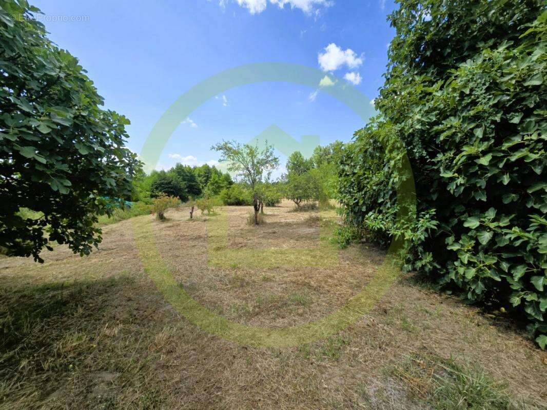 Maison à SAINT-BONNET-SUR-GIRONDE