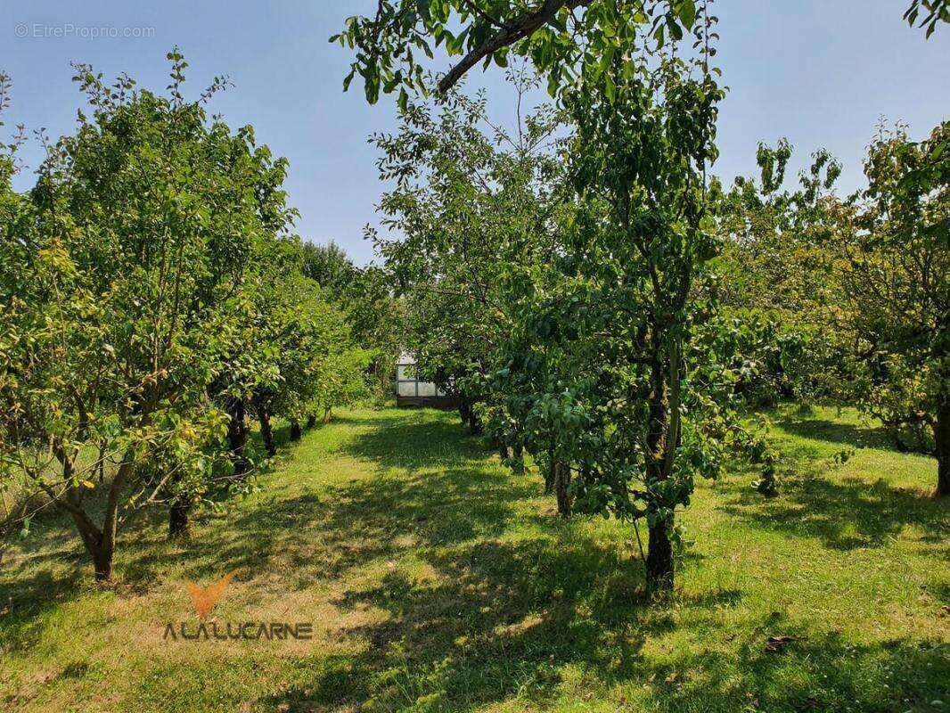Maison à ROUZIERS-DE-TOURAINE