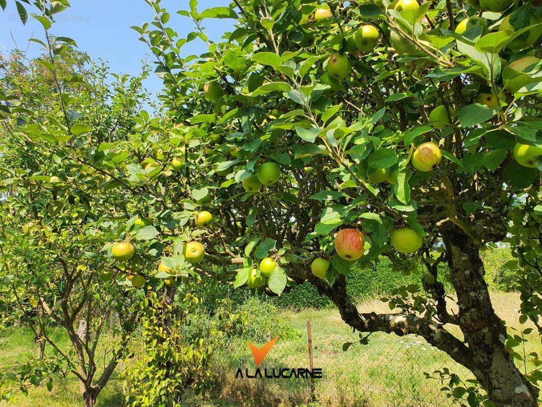 Maison à ROUZIERS-DE-TOURAINE