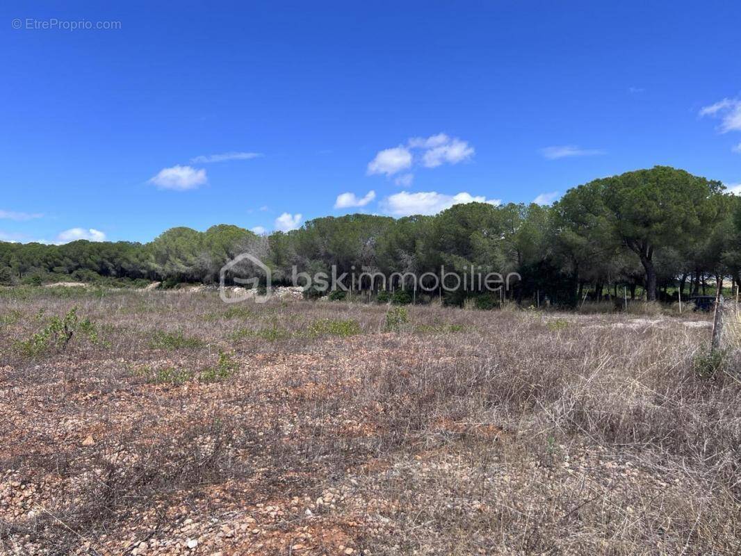 Terrain à FRONTIGNAN