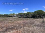 Terrain à FRONTIGNAN