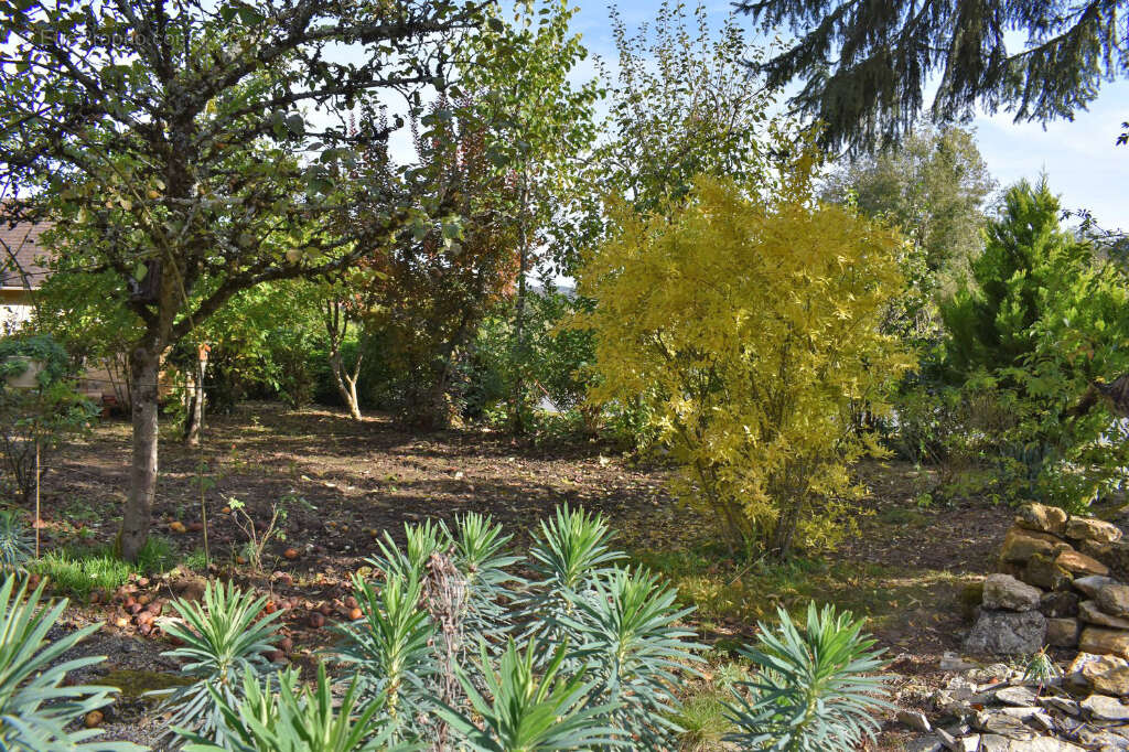 Maison à SALIGNAC-EYVIGUES