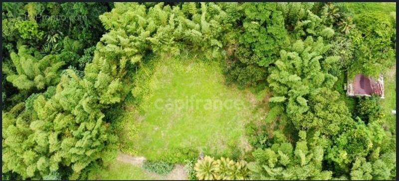 Terrain à L&#039;AJOUPA-BOUILLON