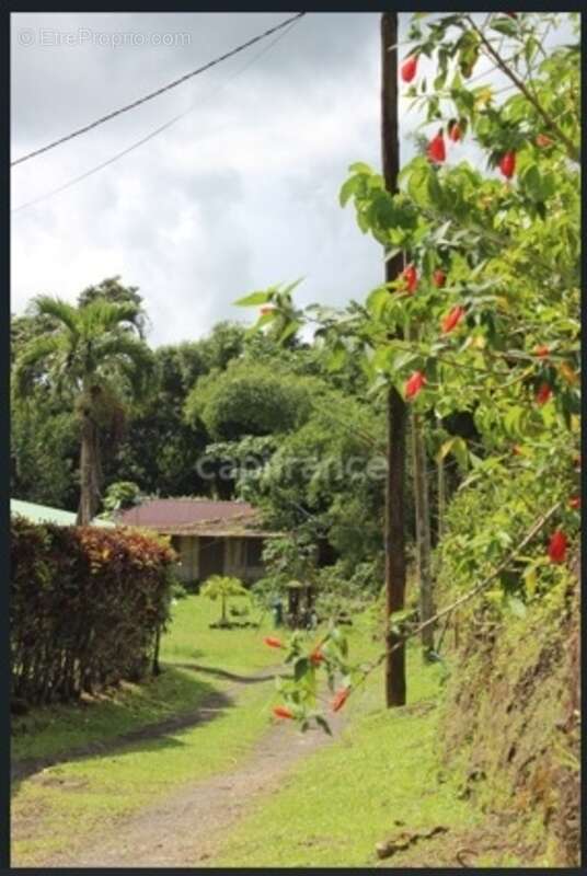 Terrain à L&#039;AJOUPA-BOUILLON