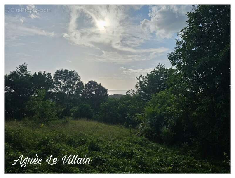 Terrain à BOUILLANTE