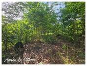 Terrain à BOUILLANTE