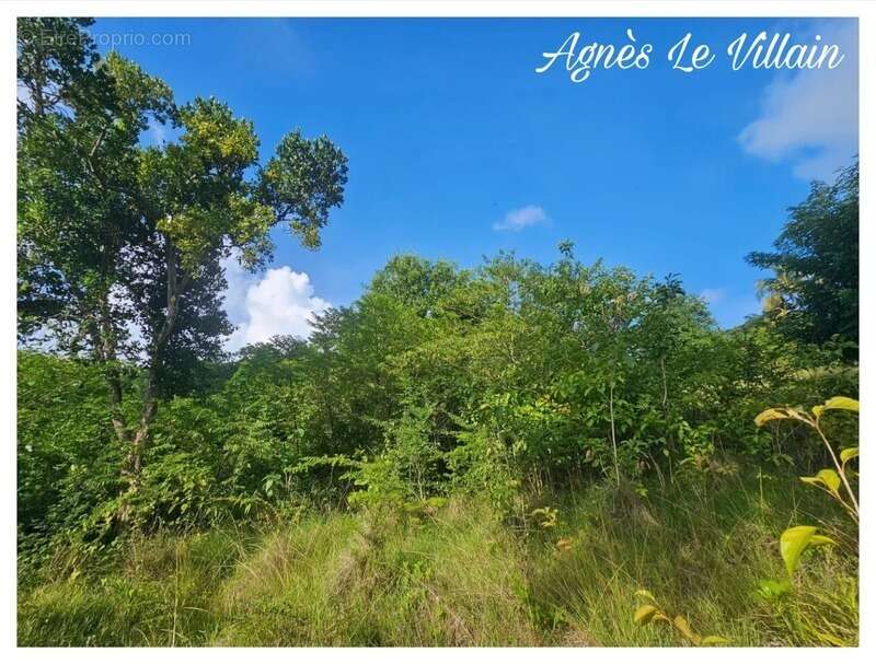 Terrain à BOUILLANTE