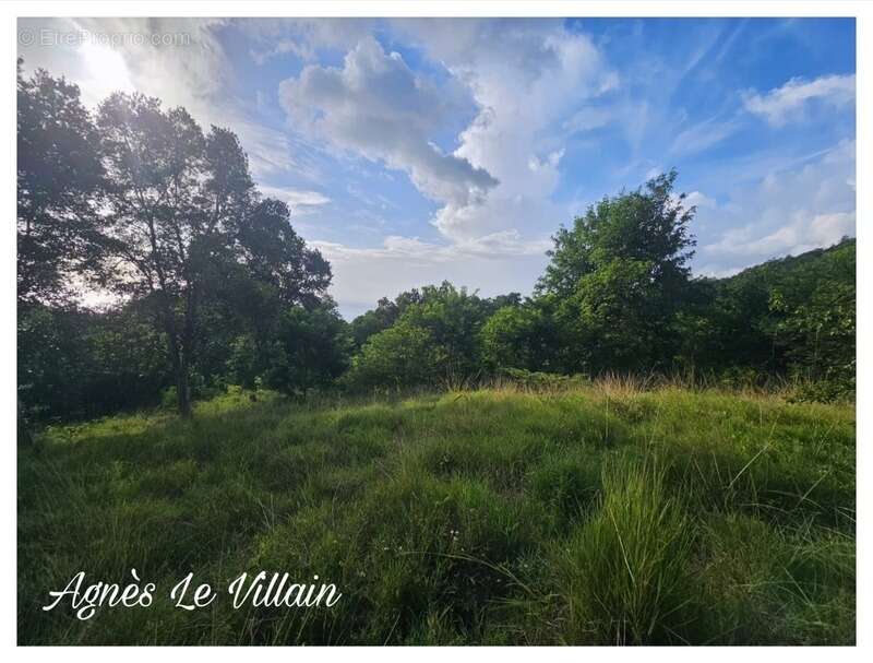 Terrain à BOUILLANTE