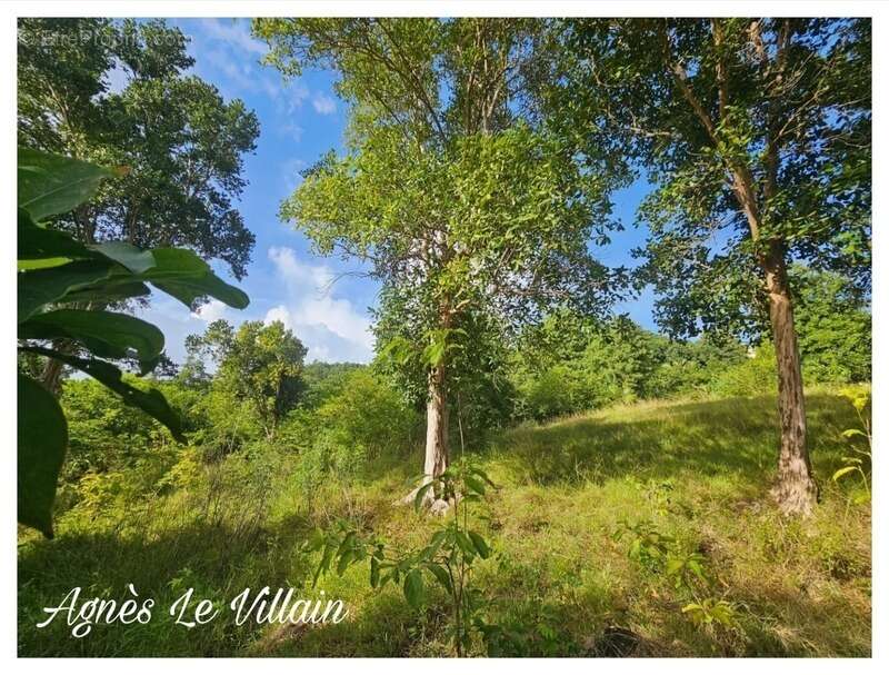 Terrain à BOUILLANTE