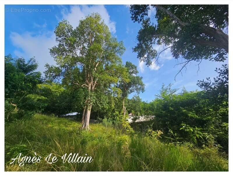 Terrain à BOUILLANTE