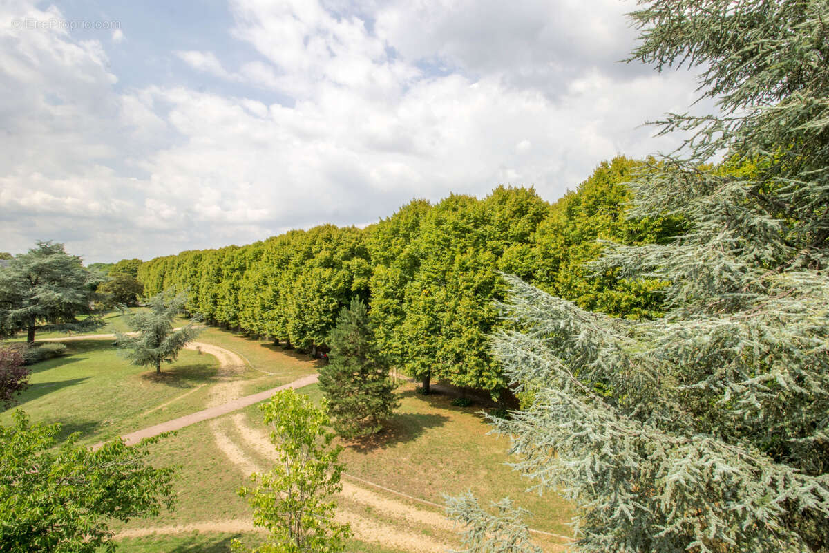 Appartement à DRAVEIL