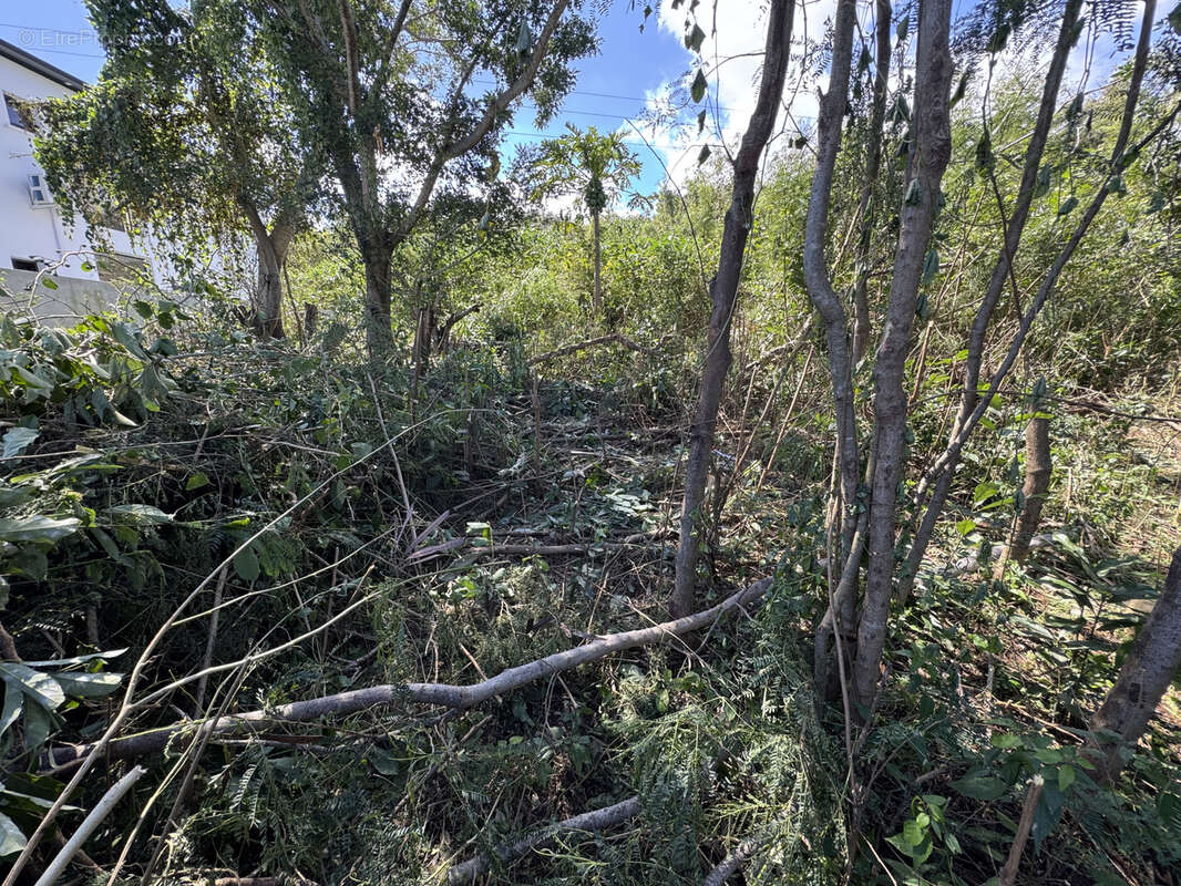 Terrain à SAINT-PIERRE