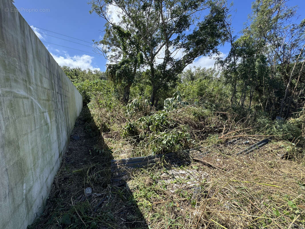Terrain à SAINT-PIERRE