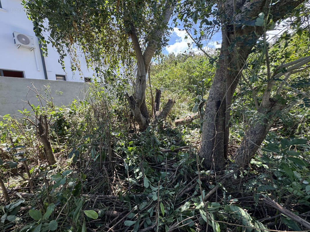 Terrain à SAINT-PIERRE