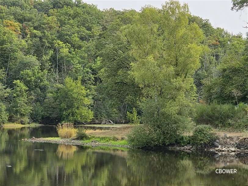 Appartement à DOMPIERRE-LES-EGLISES