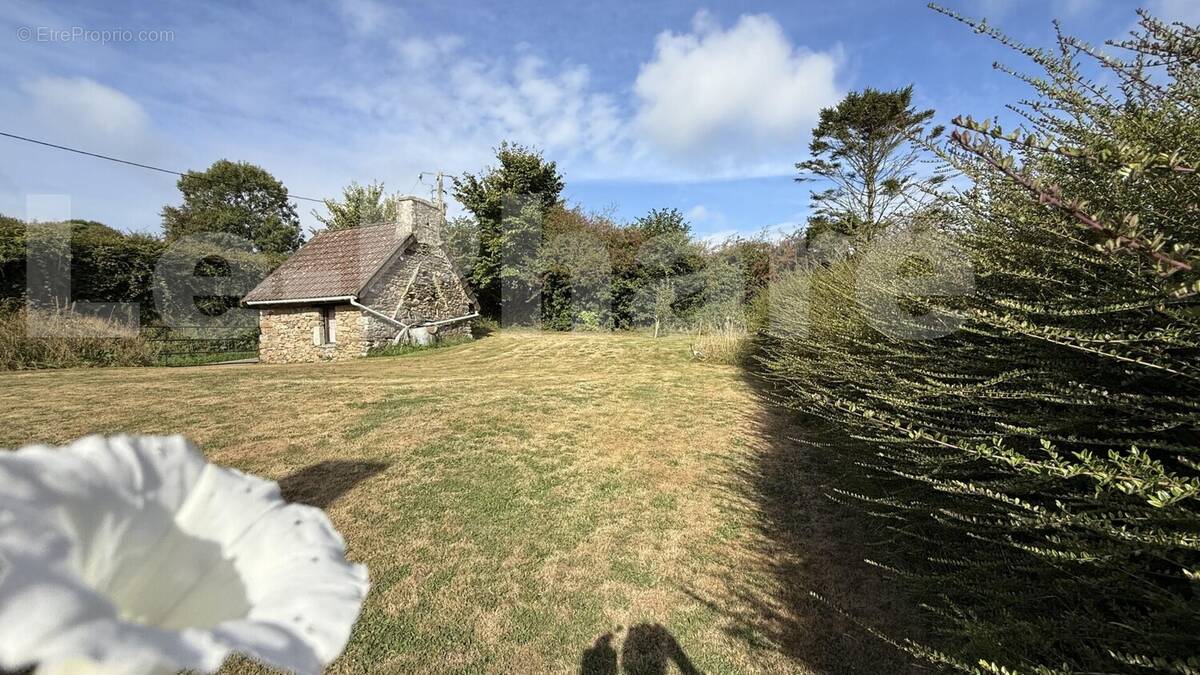 IMG_4594 - Maison à URVILLE-NACQUEVILLE