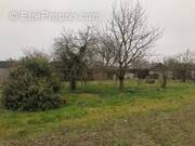 Terrain à LONGUE-JUMELLES