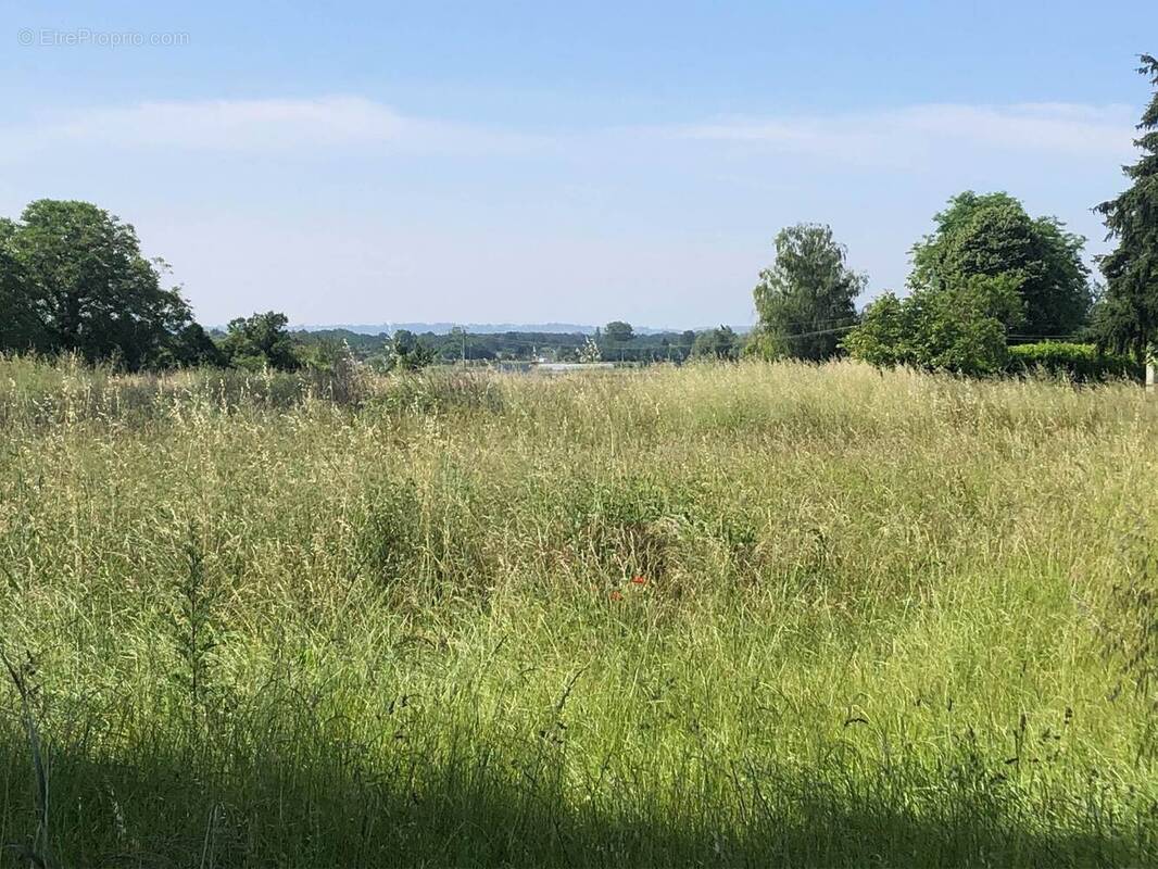 Terrain à NEUILLE