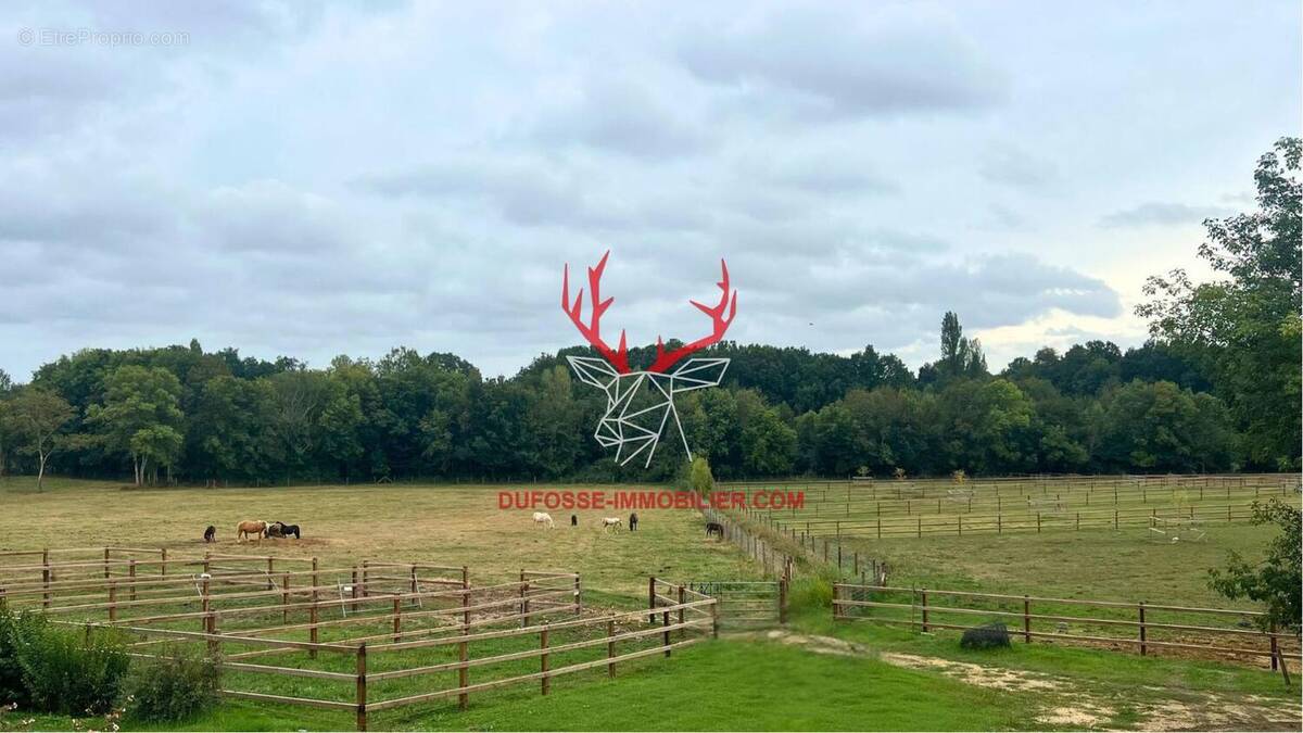 Photo 1 - Maison à MARMANDE