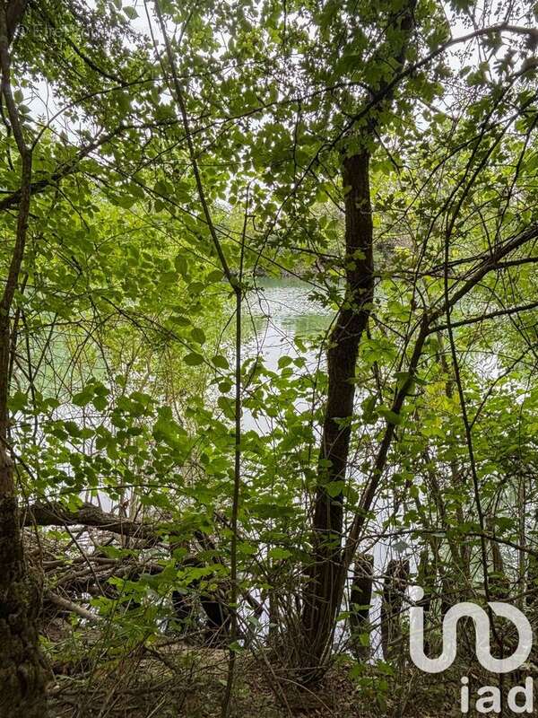 Photo 5 - Maison à SAINTES