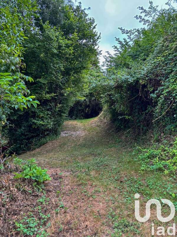 Photo 9 - Maison à SAINTES