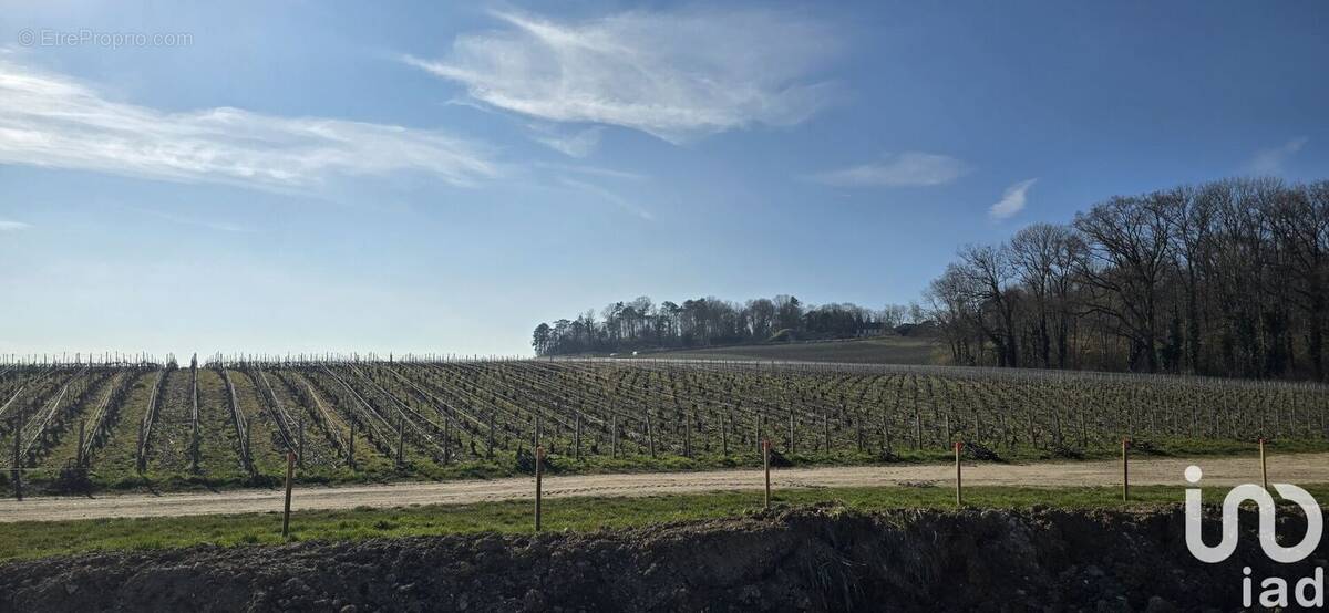 Photo 1 - Terrain à MERFY