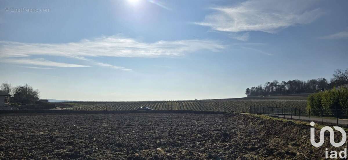 Photo 3 - Terrain à MERFY