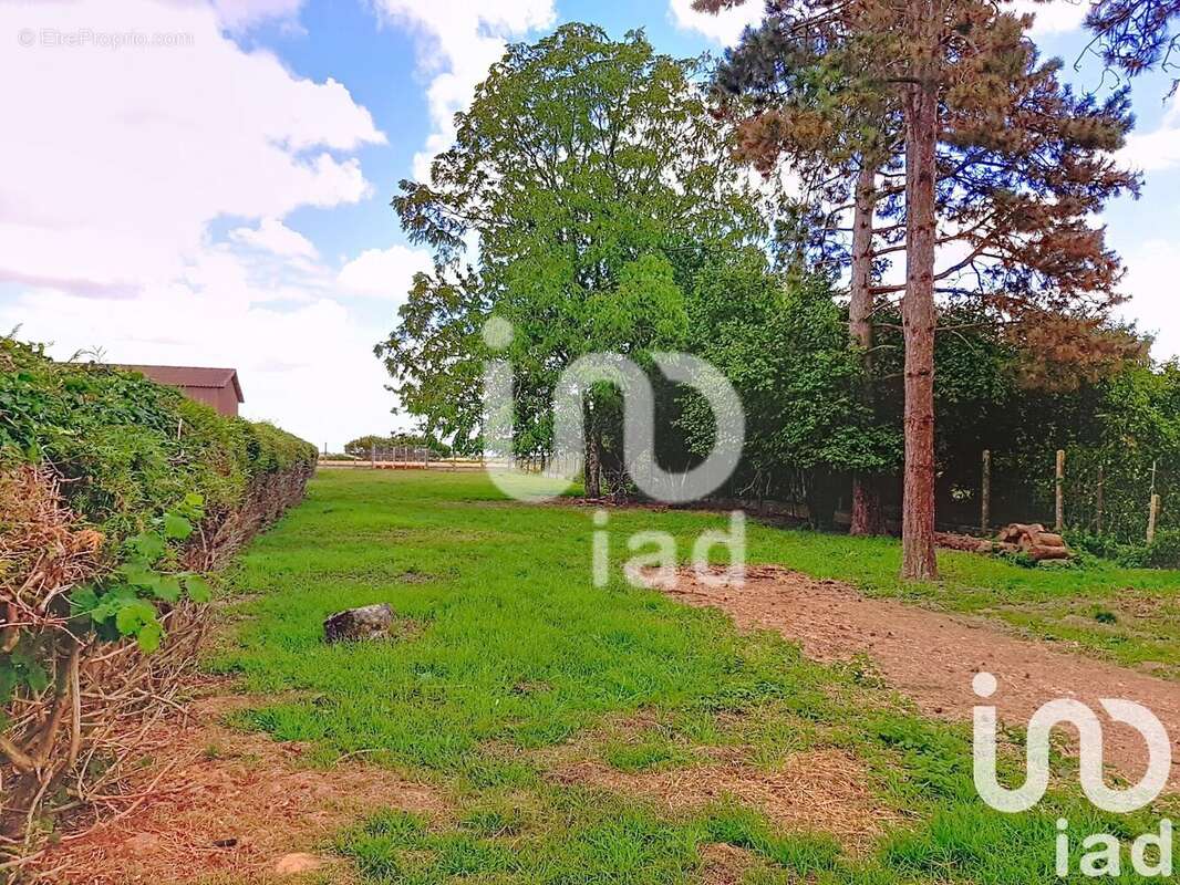 Photo 5 - Maison à SAINT-LOUP-DE-NAUD