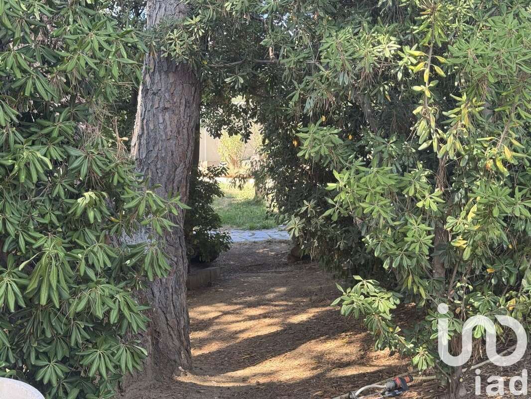 Photo 5 - Maison à VILLENEUVE-DE-LA-RAHO