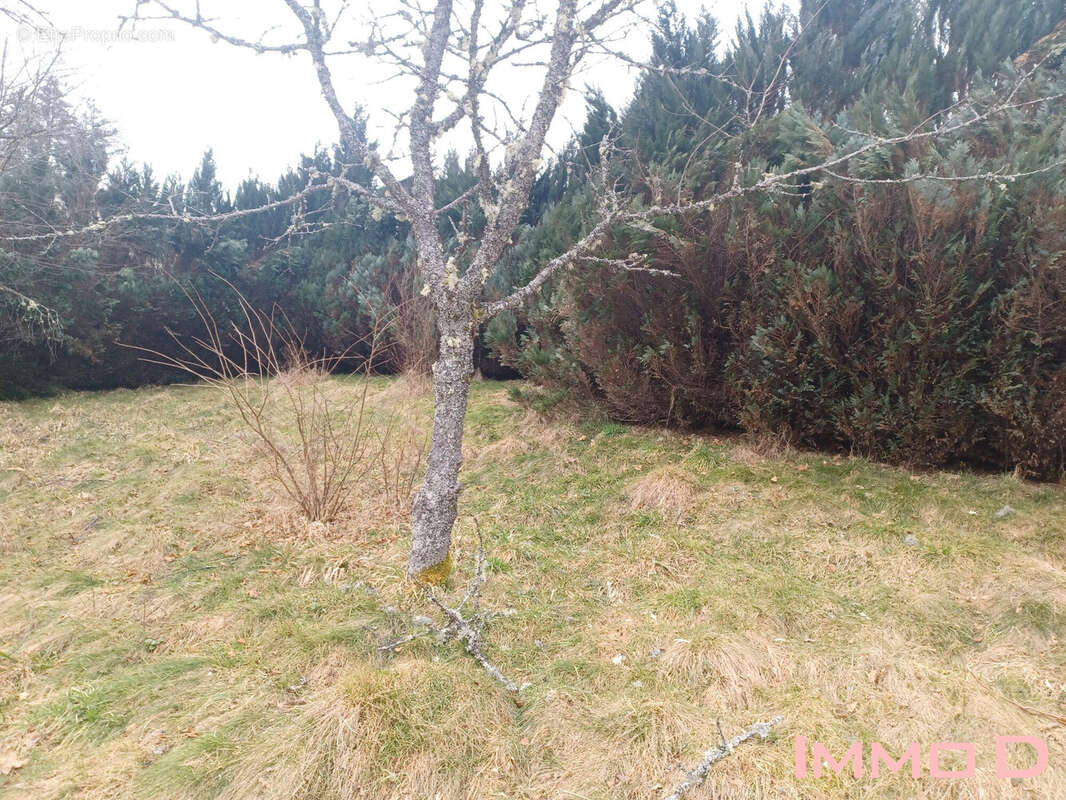 Terrain à GERARDMER