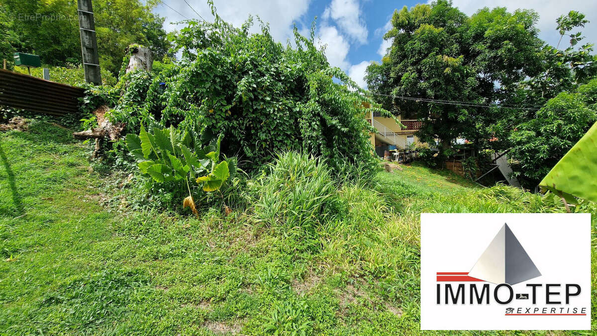 Terrain à LE LAMENTIN