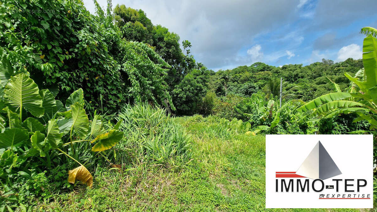 Terrain à LE LAMENTIN