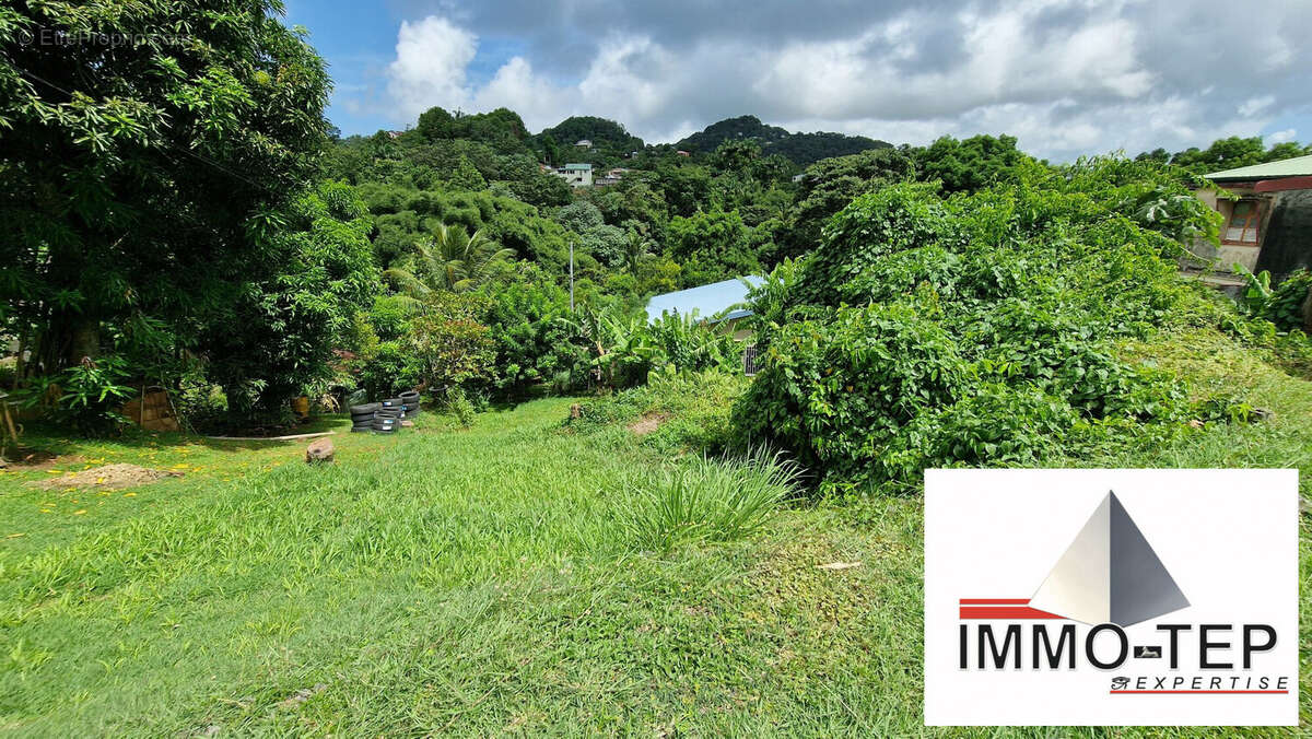 Terrain à LE ROBERT