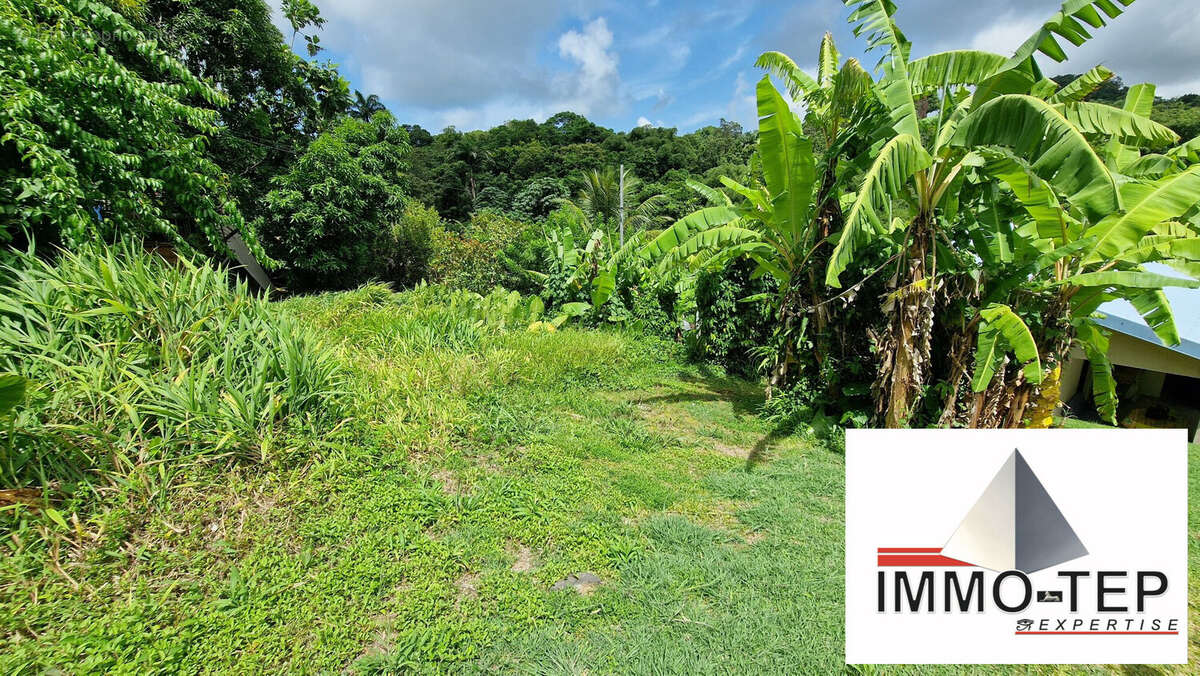 Terrain à LE ROBERT