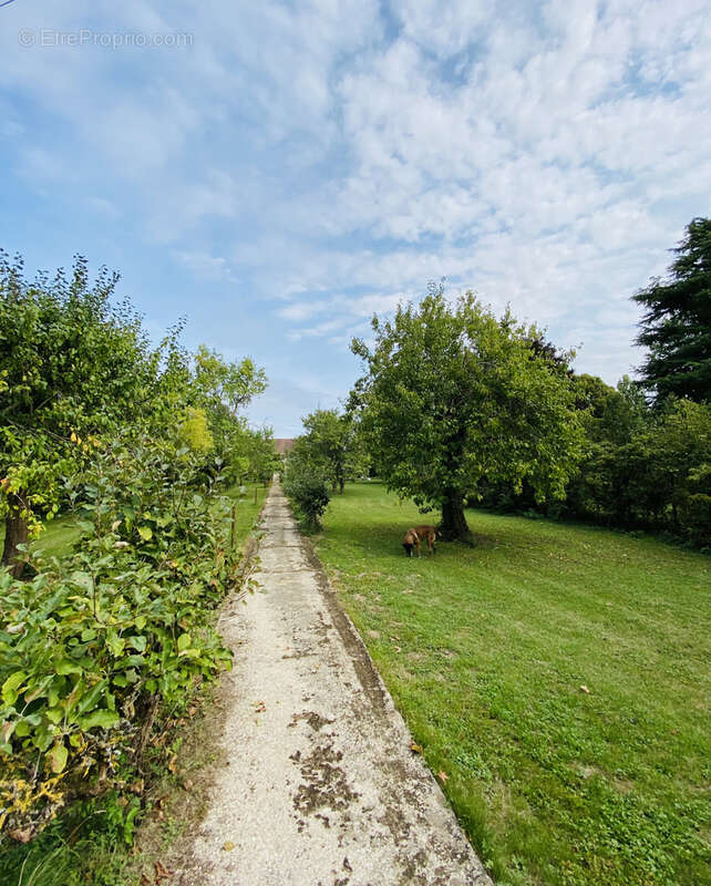 Terrain à VILLEBLEVIN