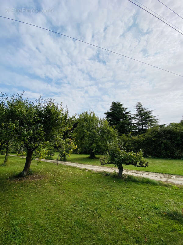 Terrain à VILLEBLEVIN