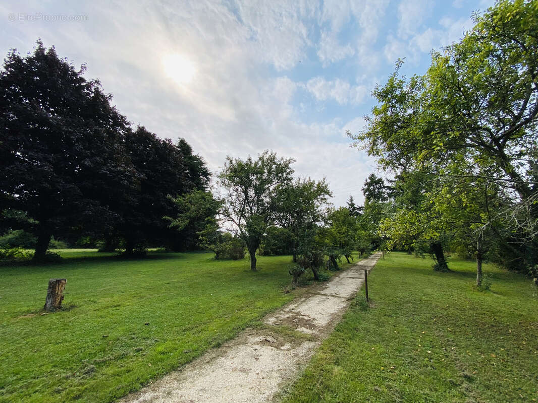 Terrain à VILLEBLEVIN