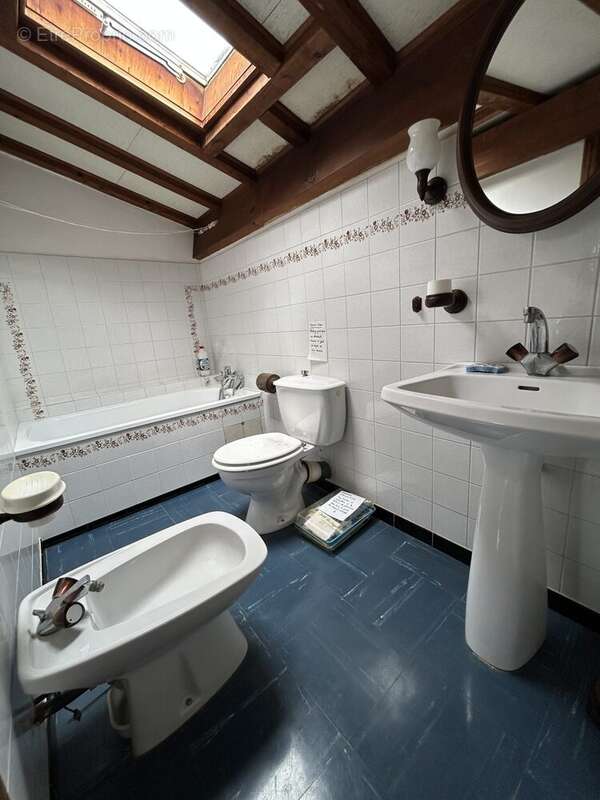 salle de bain privative  - Maison à SAINT-FERRIOL