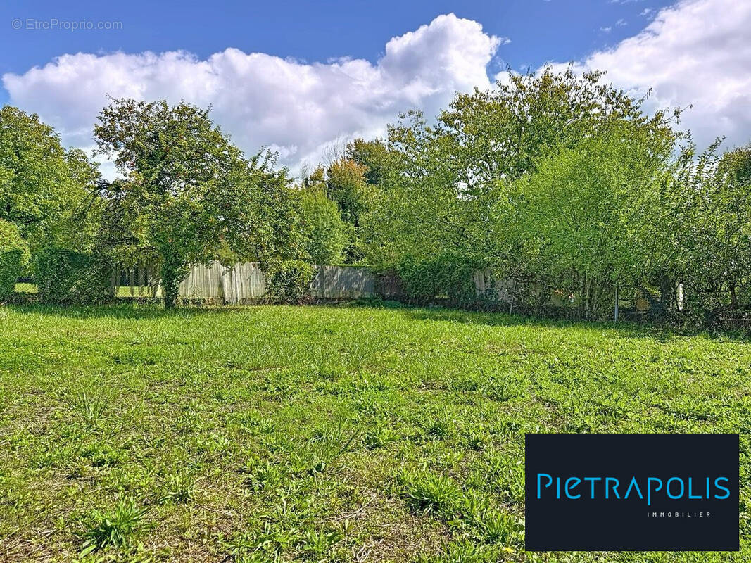 Terrain à VIGNOLES