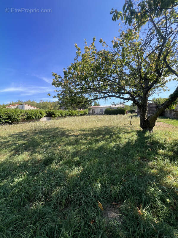 Maison à MONISTROL-SUR-LOIRE