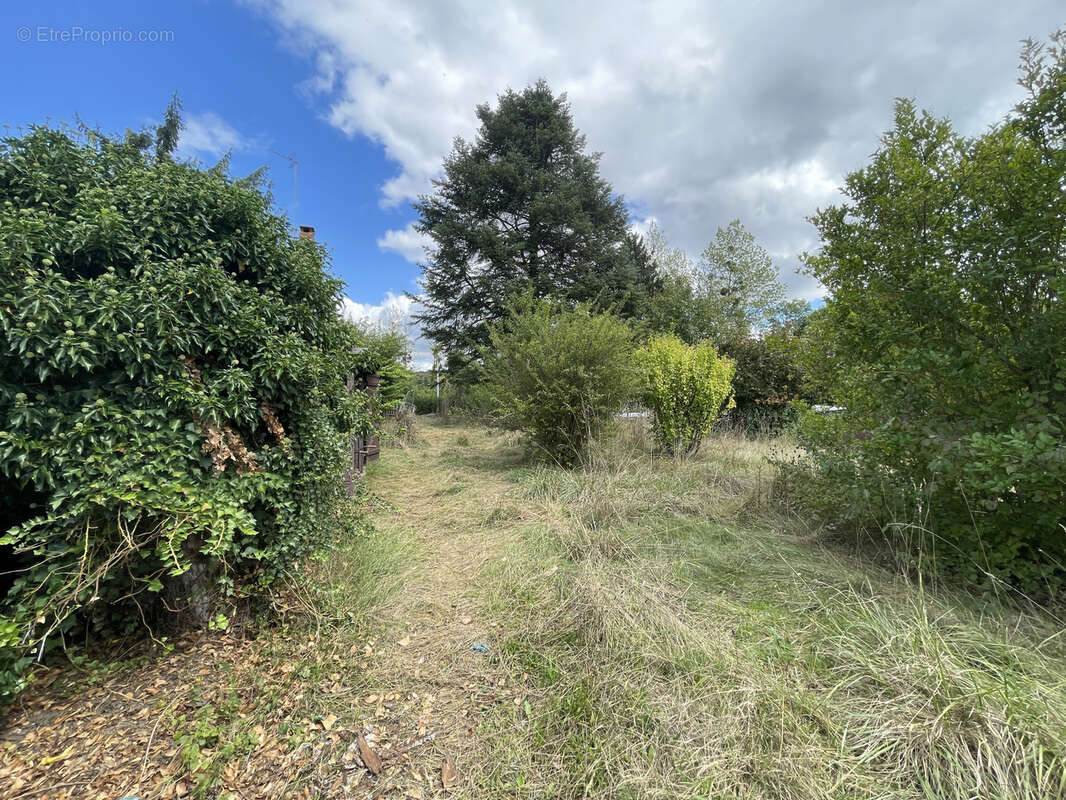 Maison à BEAUMONT-LA-FERRIERE