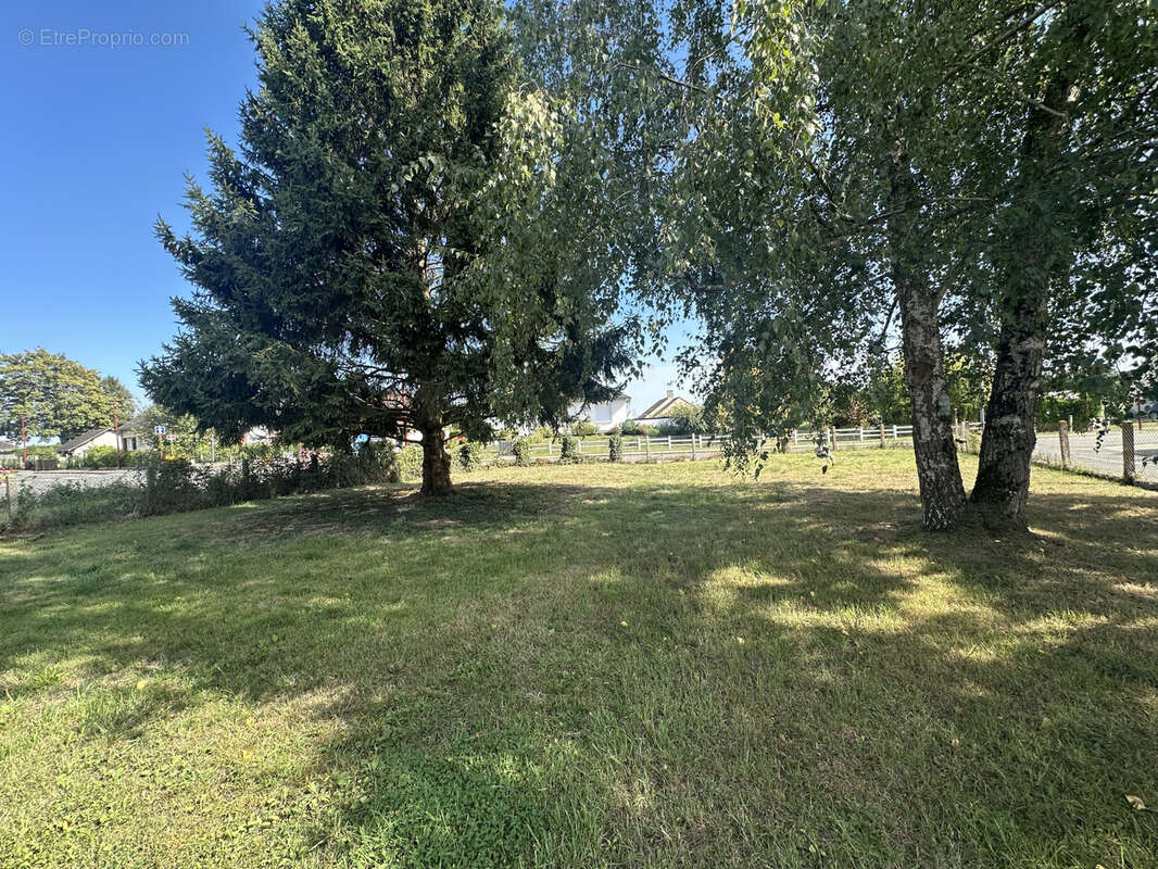Terrain à SAINT-BIEZ-EN-BELIN