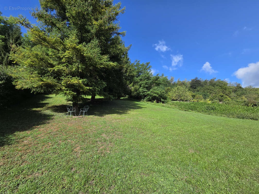 Maison à CREUZIER-LE-VIEUX